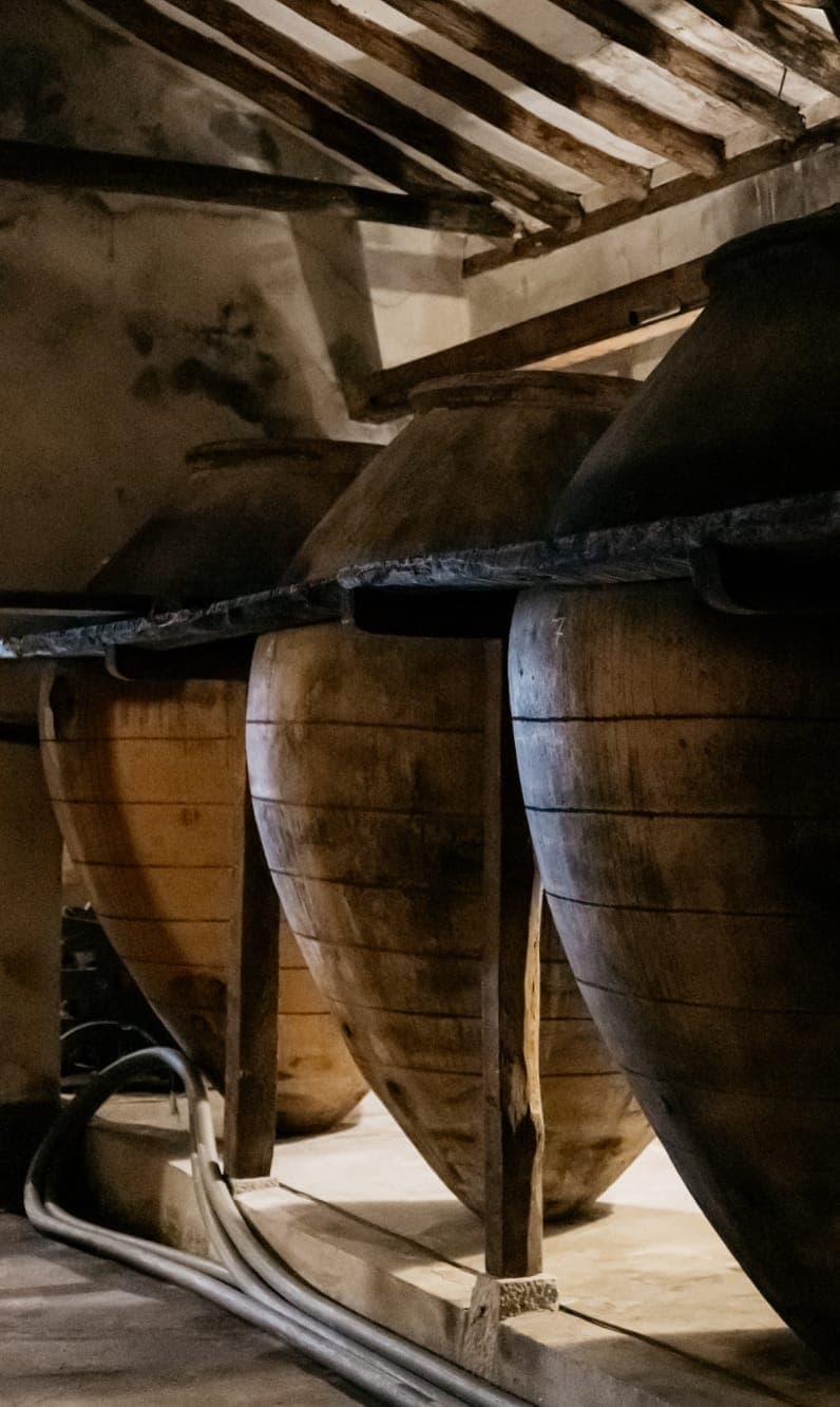 Large clay tinajas lined up in a stone cellar