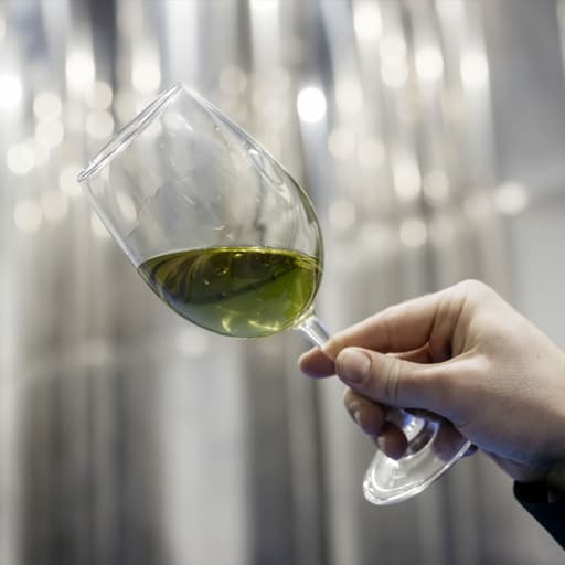 Visit Oleum Laguna with Madrid Wine Country