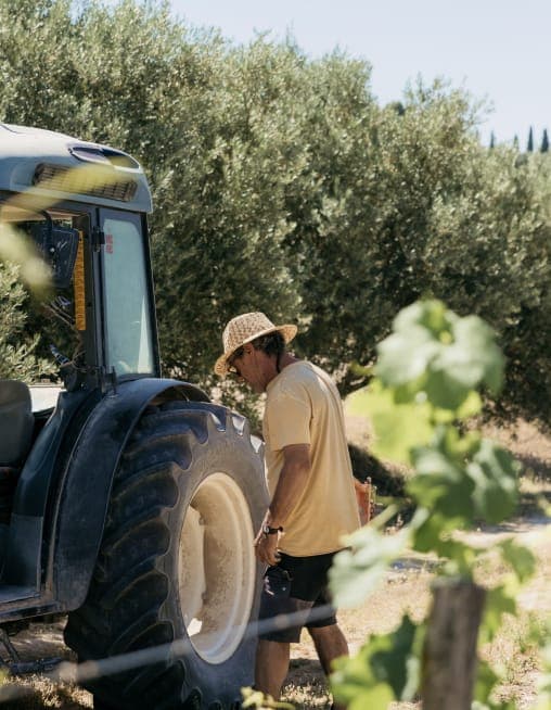 Farmer beside a tractor during Madrid grape harvest