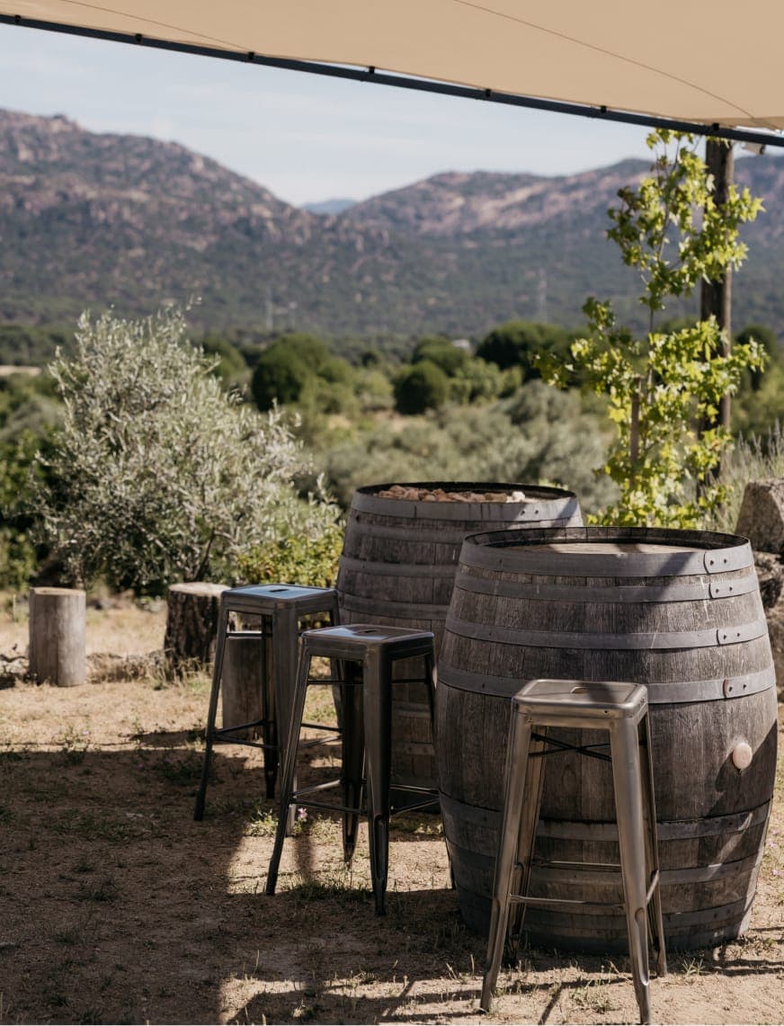 Mesas de barrica en una bodega de Madrid