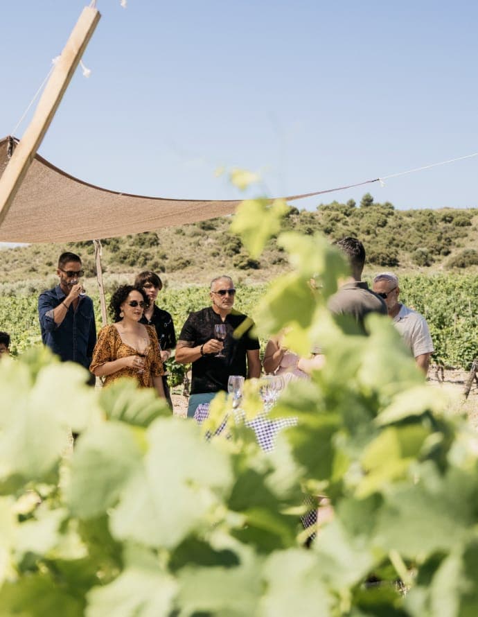Guests gathered under a shade tent among vineyards