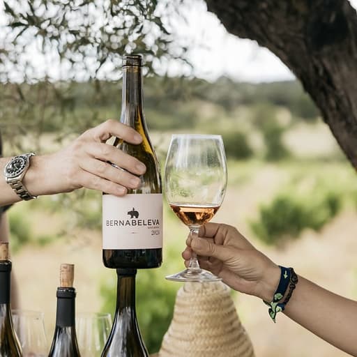 Bernabeleva wine tasting among olive trees and vineyards - Madrid Wine Country
