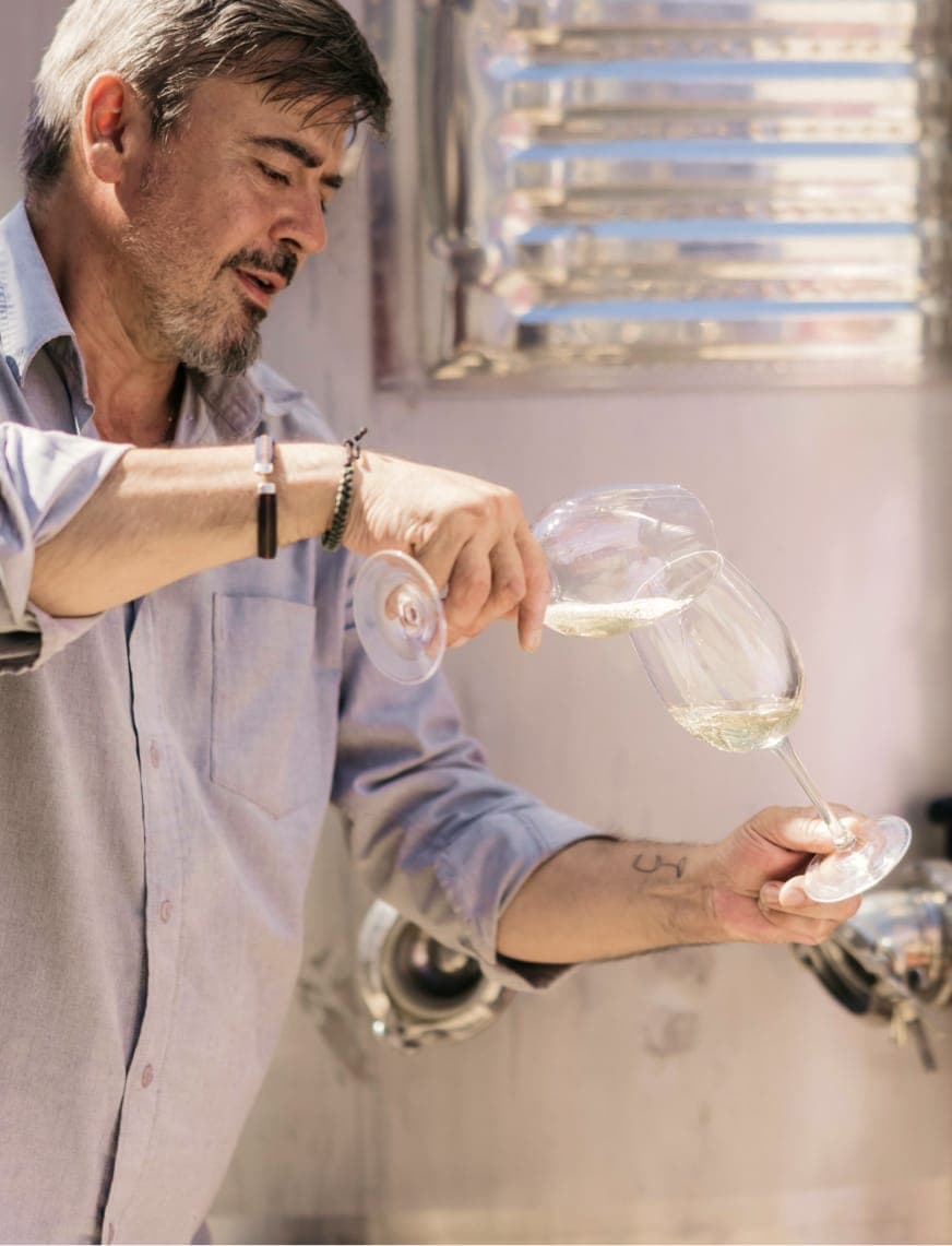 Winemaker pouring white wine into a glass