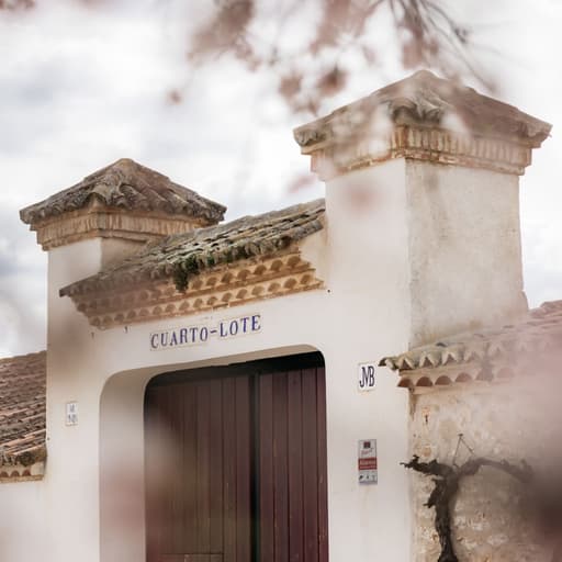 Visita Bodega Cuarto Lote - Madrid Wine Country