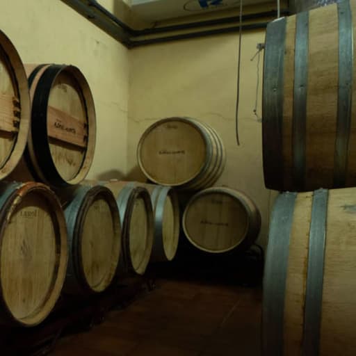 Visit Bodegas Andrés Morate - Madrid Wine Country