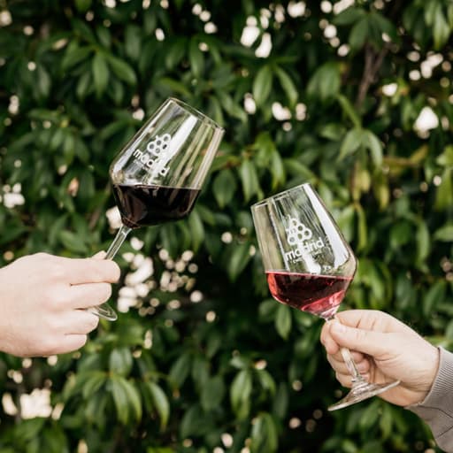 Visit Bodegas El Regajal - Madrid Wine Country
