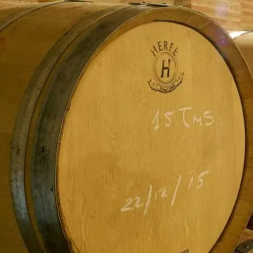 Visit Bodegas y Viñedos Pedro García - Madrid Wine Country