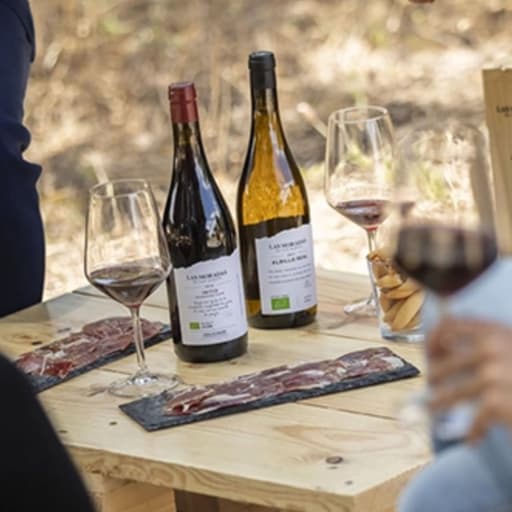 Visit Las Moradas de San Martín - Madrid Wine Country