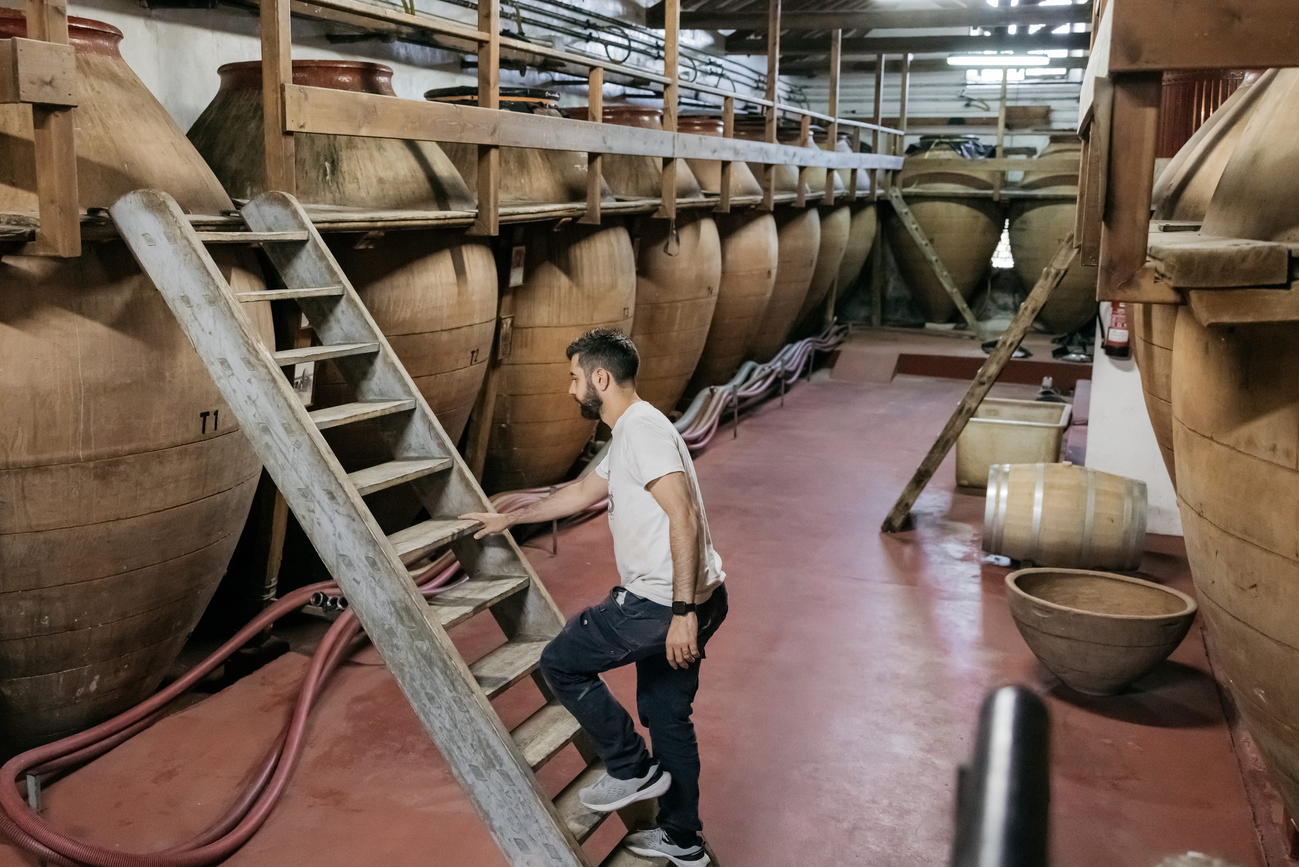 Winemaker climbing ladder among Jesús Díaz clay amphorae