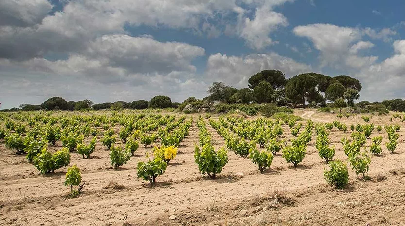 Las Moradas de San Martin