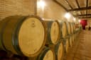 Bodegas y Viñedos Pedro García