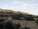 Las Vegas Valley