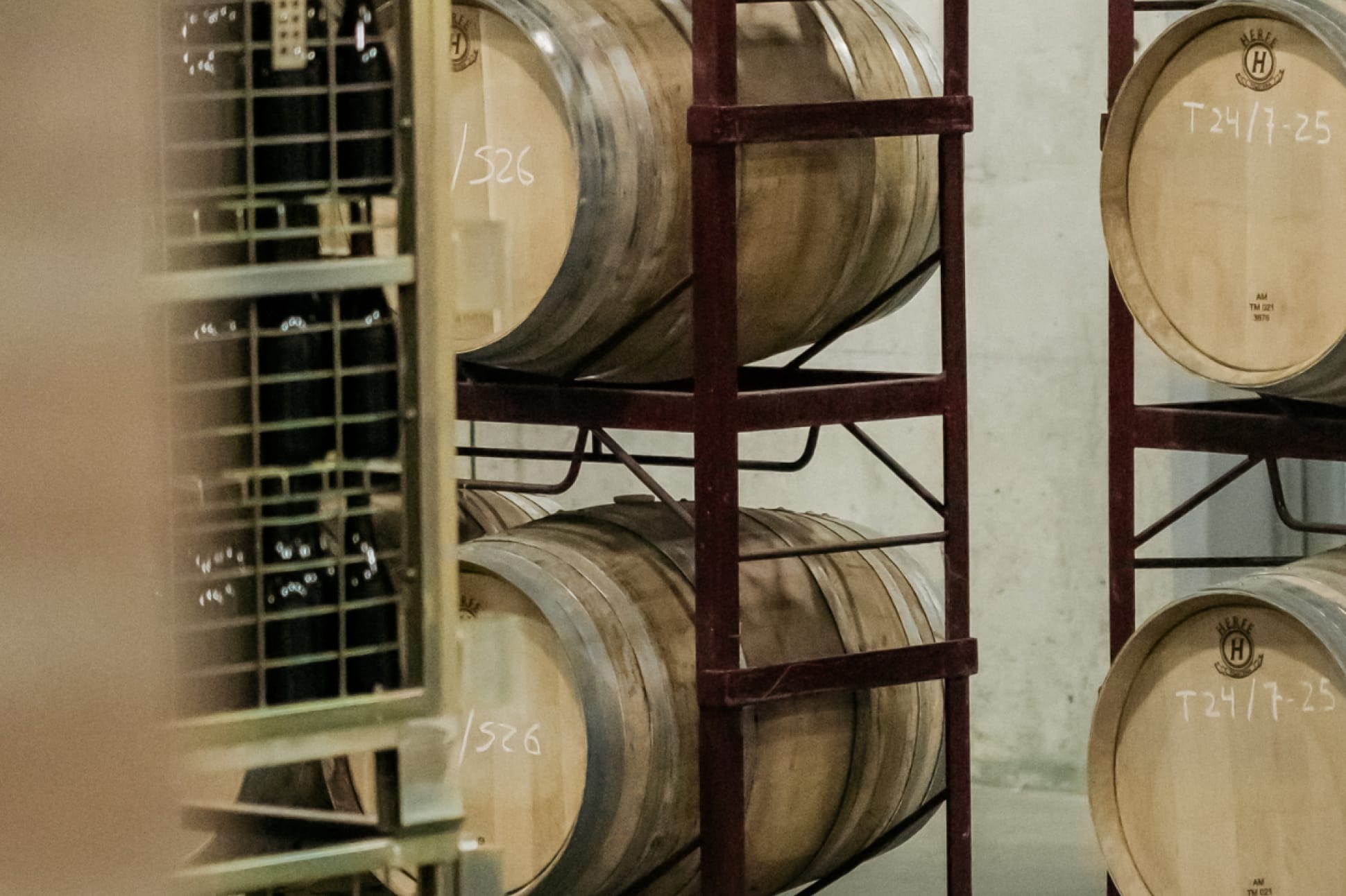 Vinícola de Arganda barrel cellar, Madrid vineyards