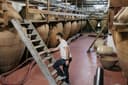 Bodegas Jesús Díaz e Hijos