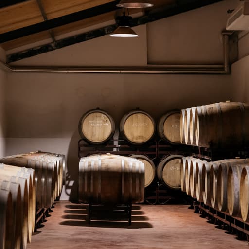 Visita Bodega del Nero - Madrid Wine Country