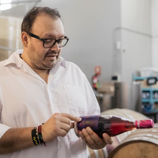 Visit Bodega Tinta Castiza - Madrid Wine Country