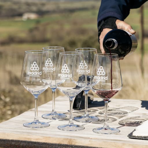 Wine tasting at Bodegas Viña Bardela, Venturada - Madrid Wine Country