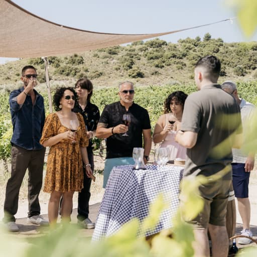 Visit Bodegas Val Azul for a guided wine tasting among the vines - Madrid Wine Country