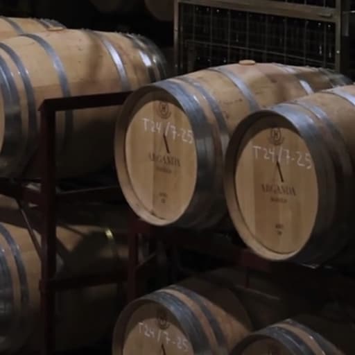Visit Vinícola de Arganda - Madrid Wine Country